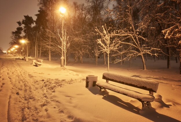 View of bench against christmas tree and shining lantern through snowing