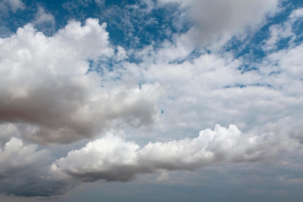 View of the blue sky with thick white clouds. Dense cumulus cloud cover..