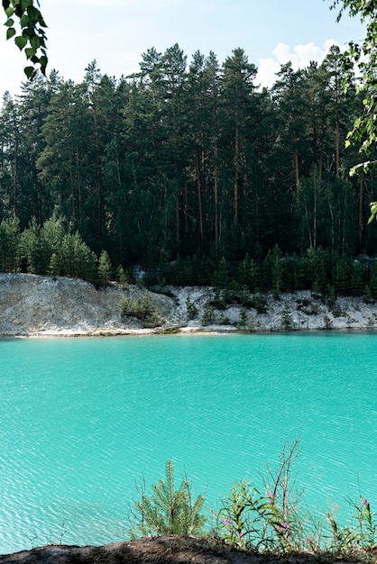 View of the blue turquoise river or lake with coniferous wooded banks beautiful landscape with bright water vertical