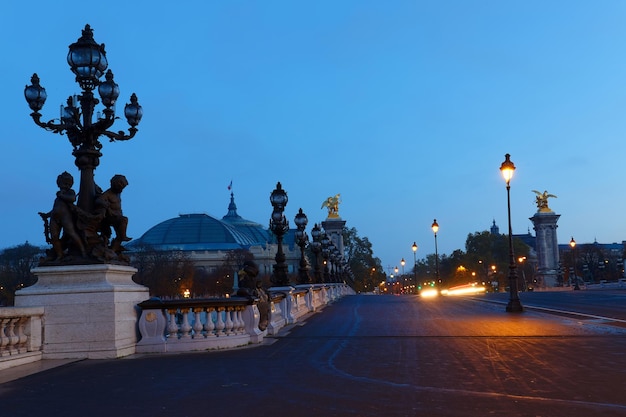 The view of Bridge Alexandre III bridge Paris France