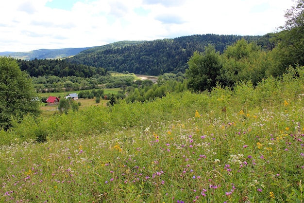 View to Carpathian mountains and mountainous villiage