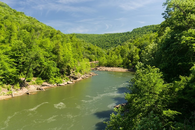 View of Cheat River from Jenkinsburg Bridge