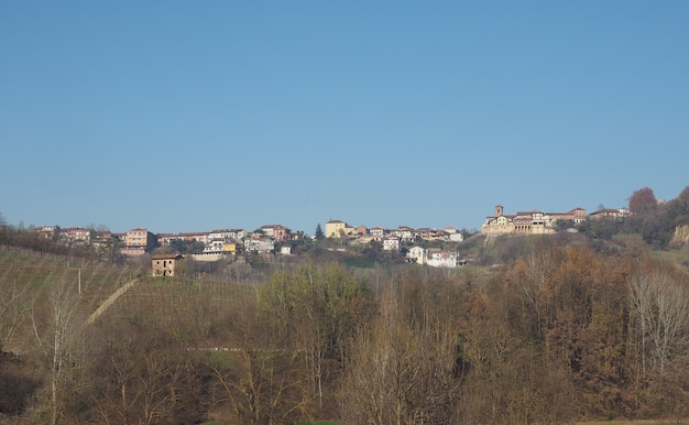 View of the city of Monta D'alba