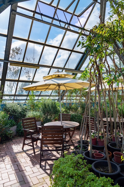 A view of the conservatory with bright sunlight and chairs.