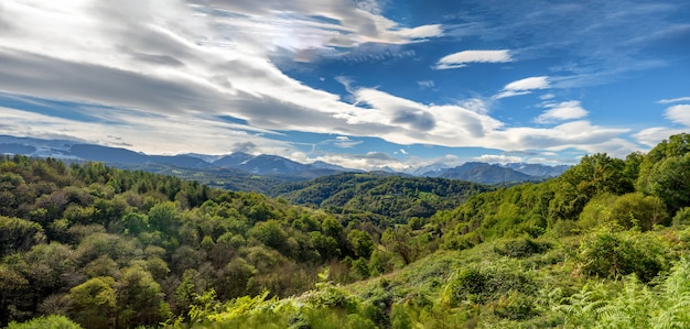 View of the countryside with the Pyrenees mountains 