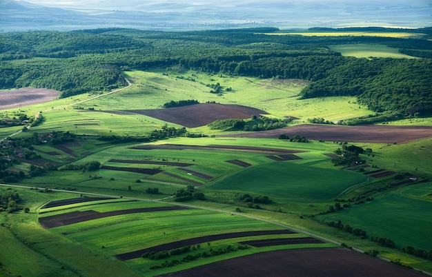 View on the field from the air Agricultural landscape at the summer time Composition from the drone Agriculture image