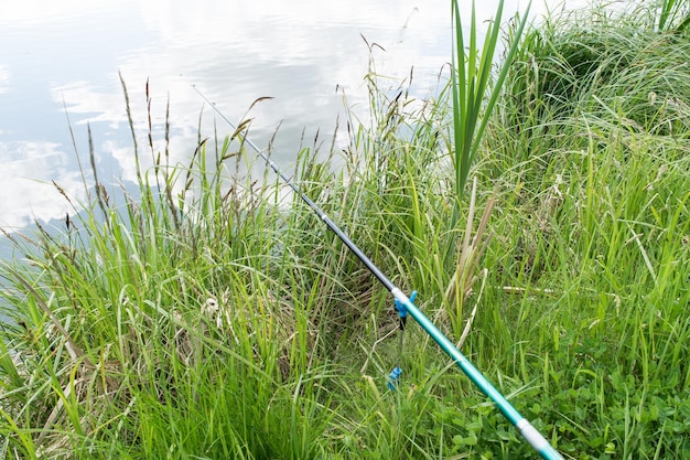 View of fishing rods lying on the grass by the lake