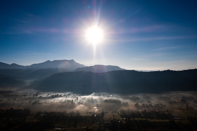 View of fog covered forest and city