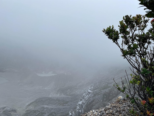 a view of the foggy coast