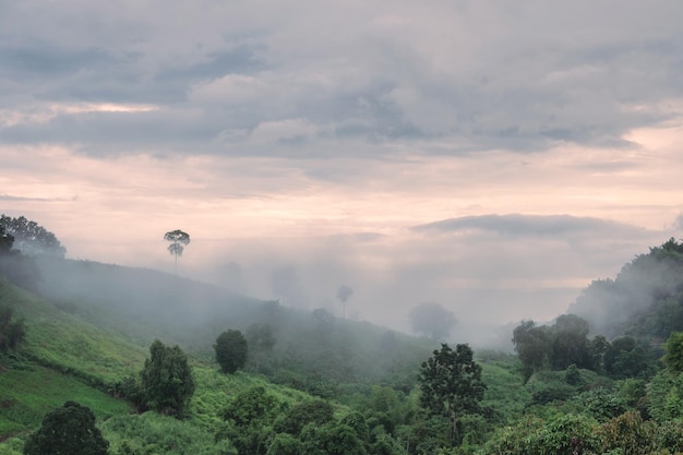 View of foggy and mountain in the evening on rainy season