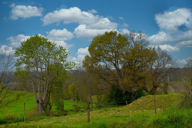 A view of the french countryside , cloudy blue sky