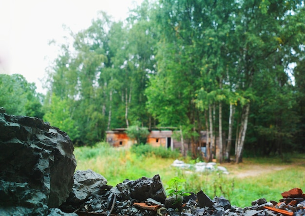 View from abandoned house on summer forest