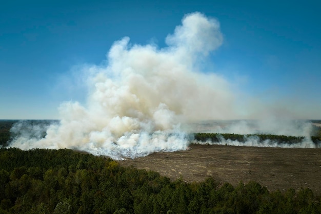 View from above of dense smoke from woodland and field on fire rising up polluting air Concept of natural disaster