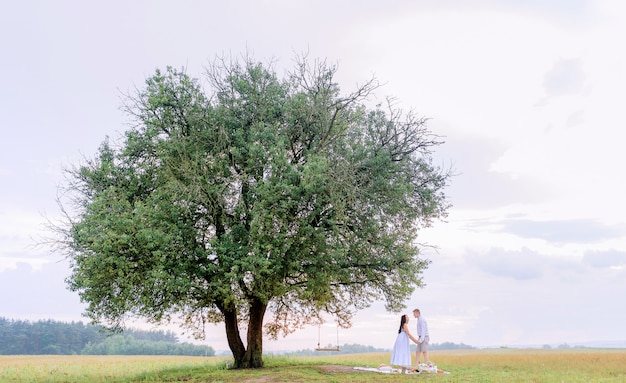 View from distance large tree with a swing from which lovers hold hands and look at each other