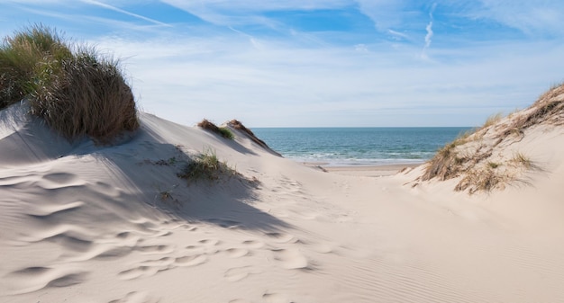 view from the dunes to the North in the Netherlands