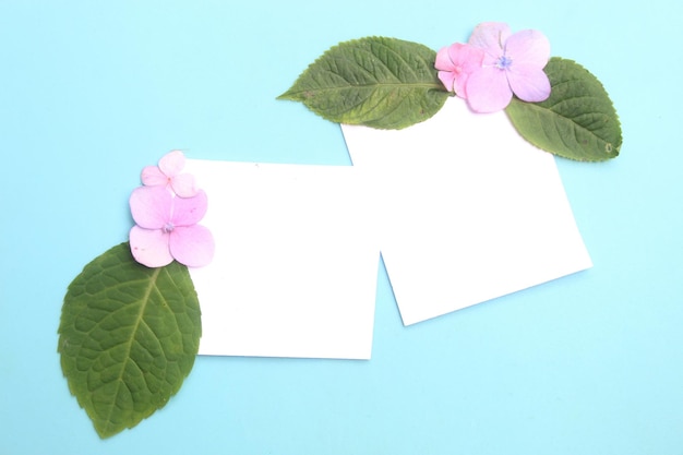 View from above flat lay photo of ordinary object on blue background