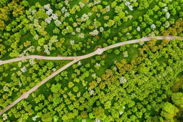 View from the height of the loshitsky Park in Minsk.Winding paths in loshitsky Park.Belarus.Apple orchard.