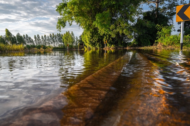 A view from a low vantage point on a flooded road