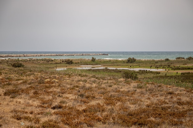 View from Mirador de la Desembocadura, Delta del Llobreat, El Prat, Catalonia, Spain