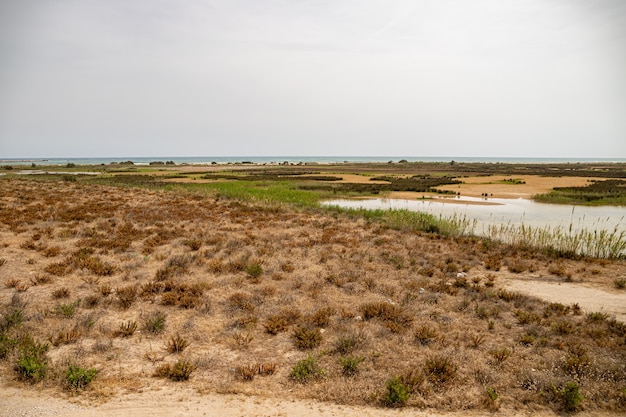 View from Mirador de la Desembocadura, Delta del Llobreat, El Prat, Catalonia, Spain