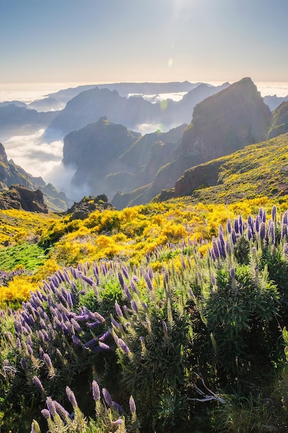 Photo view from pico do arieiro portugal