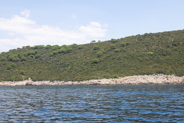 View from the sea to the green rocky shore.