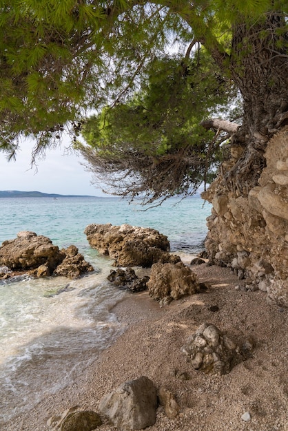 View from the shore to the turquoise Adriatic Sea through a pine tree Two stones in the water A ship sails in the distance High mountains on the horizon Makarska Riviera Dalmatia Croatia