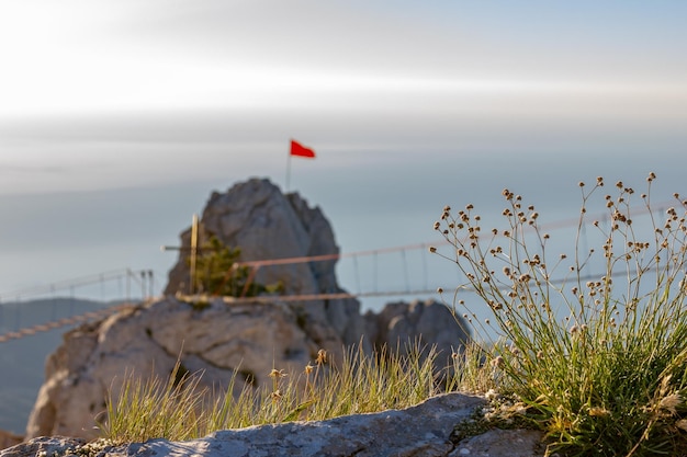 view from the top of mountain ai petri. High quality photo