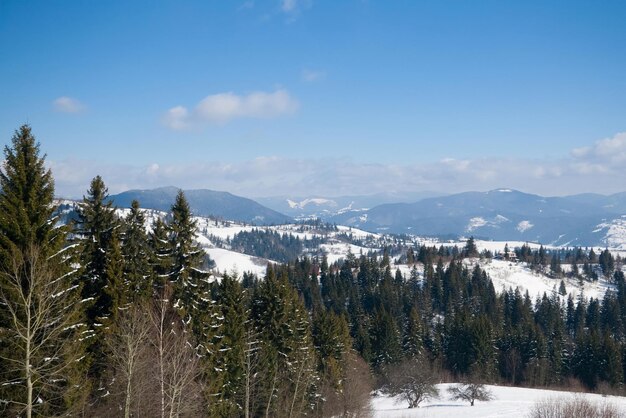 View from the top of mountain on forest in frost and low cloud