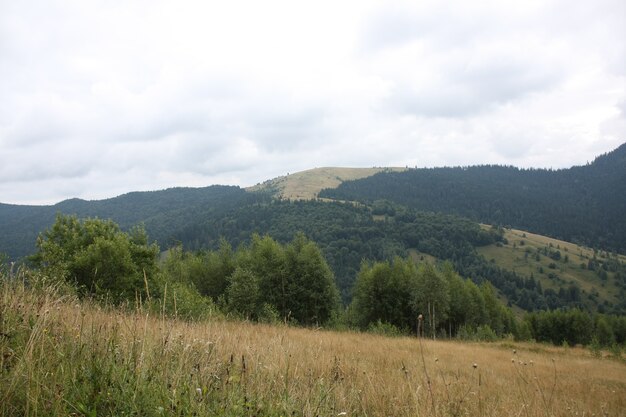 View from the top of the mountain