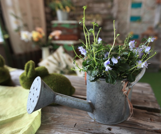 view from the top.watering can with flower arrangement.