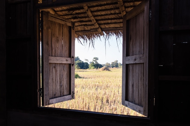 View from window at a wonderful landscape nature view  rice stubble left after harvesting the rice field nature background in Thailand