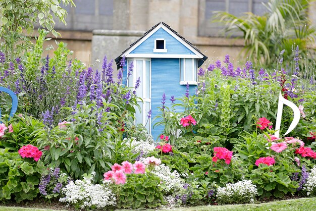 View of a garden with several colorful flowers and a house for birds