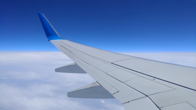 View of a gray airplane wing through the aircraft window ovet the clouds