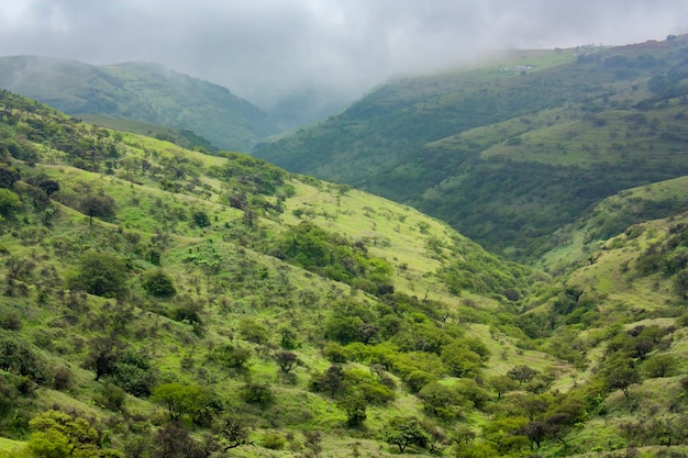 View at green fields in Salalah, Oman