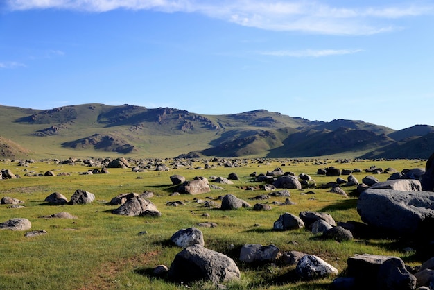 View of the green mongolian steppe in summer