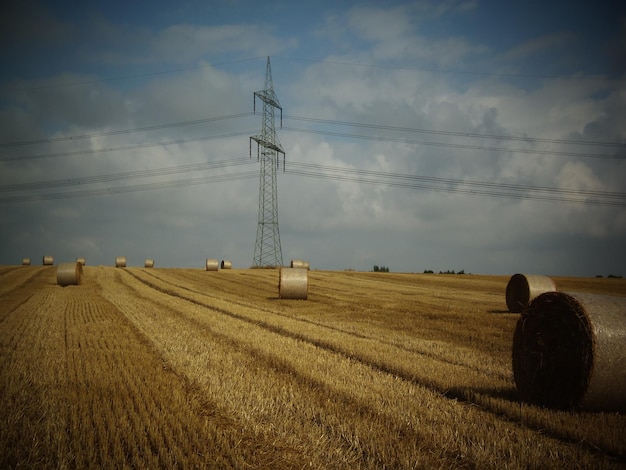 Photo view of hay bales on landscape against sky