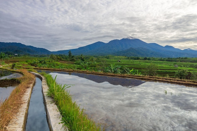 View of Indonesia in the morning terracing rice fields from Mount Sumatra