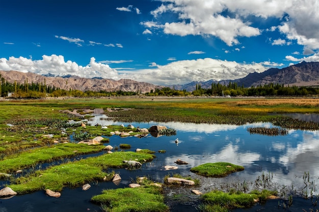 View of Indus valley in Ladakh India