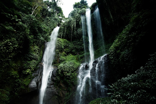 View of jungle waterfall cascade in tropical rainforest