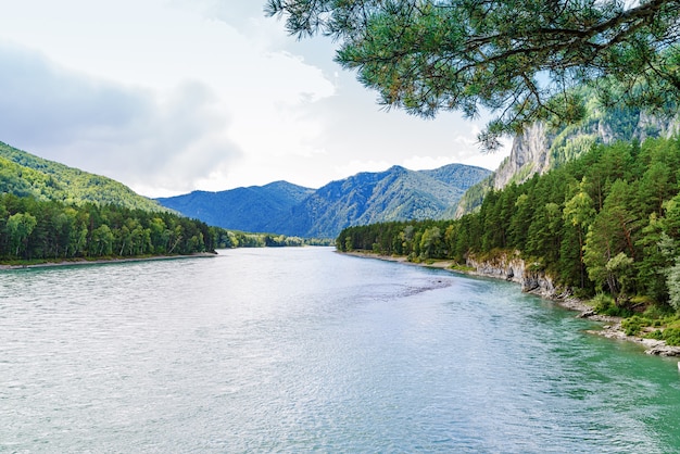 View of the Katun River from the observation deck