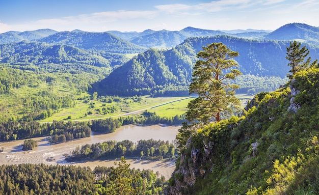 View of the Katun river valley in the Altai mountains on a summer day