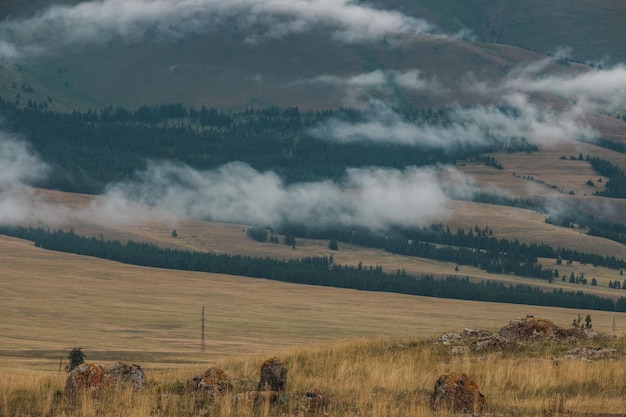 View of the kurai steppes in the altai mountains