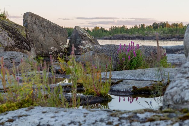 view of Ladoga skerries at sunset in the republic of karelia. High quality photo