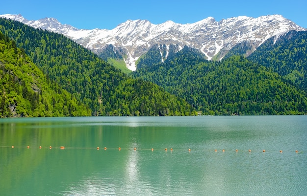 View of lake Ritsa (Riza) in Abkhazia in the spring, snow-capped mountains