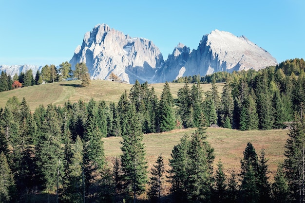 View of Langkofel Group mountains Sassolungo and Sassopiatto in Seiser Alm, South Tyrol, Italy