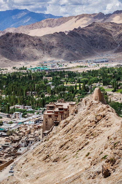 View of Leh town from above