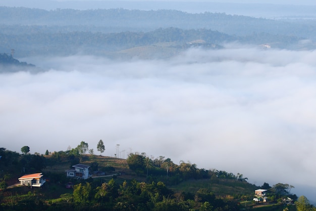 View of mist on mountain at Khao Kho, Phetchabun , Thailand.