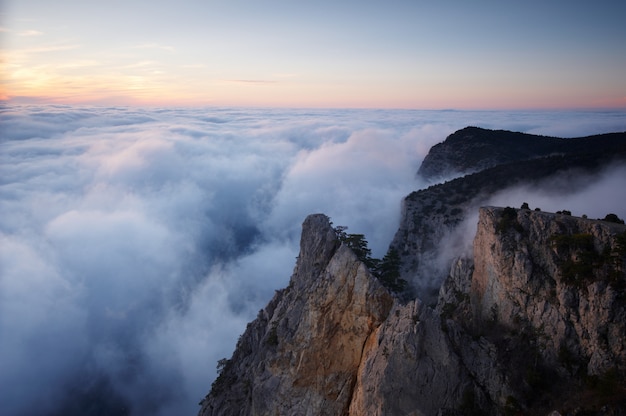 Photo view of misty fog mountains - rock with pine tree