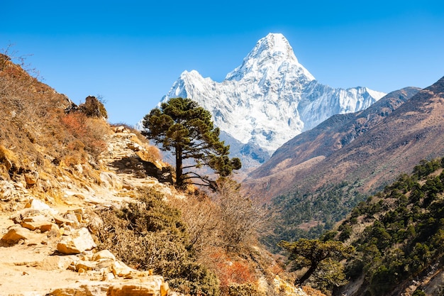 View of Mount Ama Dablam (6812 m altitude) in Himalayas, Nepal. Everest Base Camp trek, Sagarmatha national park